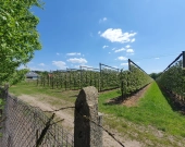 5 do wyboru na Klonowej, wymarzona lokalizacja | Zdjęcie 9