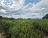 WZ- 22 domy, 44 lokale, media, lokalizacja | Zdjęcie 3