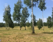 Działka budowlana nad Jeziorem Drwęckim | Zdjęcie 6