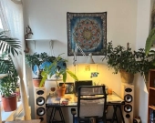 2pok, 41met, Okolice Parku Tołpy ANTRESOLA/PIWNICA (Wrocław) | Zdjęcie 1