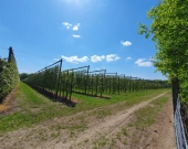 5 do wyboru na Klonowej, wymarzona lokalizacja | Zdjęcie 5