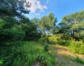 Krucza blisko Złotej, wz, lokalizacja, media | Zdjęcie 4