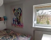 3pok, 72met, Okolice Orlej TARAS/PIWNICA/OGRÓD (Wrocław) | Zdjęcie 5