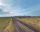 Sprzedaż działki budowlanej w okolicach Środy Śląskiej. | Zdjęcie 2