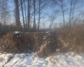 MPZP, spokój, blisko stawy i kąpielisko | Zdjęcie 2