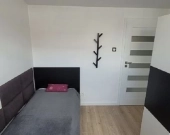 4pok, 75met, Okolice Wiejskiej BALKON/2MP/2017 (Wrocław) | Zdjęcie 11