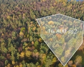 2Urokliwe działki Blisko jeziora Inwestycja Kamień | Zdjęcie 8