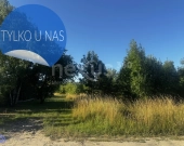 Wrocław Kminkowa działka inwestycyjna - nowa cena! | Zdjęcie 5