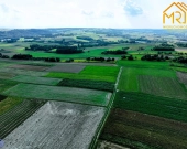 Nieruchomość rolna gmina Szerzyny koło Tarnowa 3.1 | Zdjęcie 8