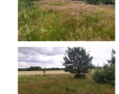 Udział 1/2 w nieruchomości gruntowej niezabudowanej Dębowa Góra | Zdjęcie 3