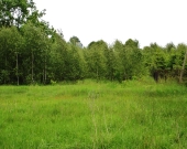 OKAZJA sprzedam działkę inwestycyjna - Wiewiorczyn | Zdjęcie 3