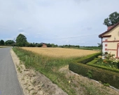 Działka Budowlana (2000 m2) MEDIA (Brzozowiec) | Zdjęcie 11