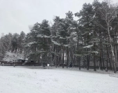 Z lasem, wz, mediami przy prywatnej drodze | Zdjęcie 2