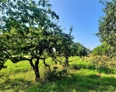 Duża działka budowlana w Boguszewie | Zdjęcie 1