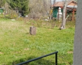 ROD "Nad Wątokiem" Tarnów | Zdjęcie 10