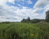 WZ- 22 domy, 44 lokale, media, lokalizacja | Zdjęcie 4