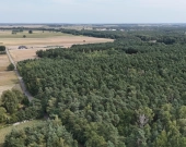 Las na sprzedaż - Koźlątków, gm. Lisków | Zdjęcie 3