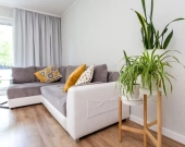 3pok, 66met, Okolice Kamieńskiego BALKON/WINDA/2018 (Wrocław) | Zdjęcie 1