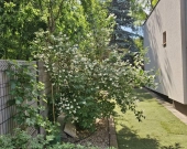 Przytulny dom tuż przy plaży! | Zdjęcie 1