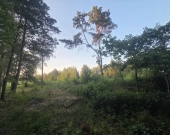 Piękna okolica, MPZP, woda i prąd | Zdjęcie 9