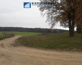 Grunt 53 ha | Guzice| Kopalnia, OZE S3 | Zdjęcie 2