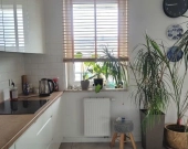 3pok 61m Okolice Bogatyńskiej BALKON/KOMÓRKA/GARAŻ (Wrocław) | Zdjęcie 5