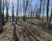 Parkowe, pozwolenie na budowę, media, drzewa | Zdjęcie 7