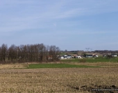 Działka rolna w miejscowości Pawęzów | Zdjęcie 9