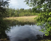 Działka inwestycyjna (3012 met) okolice Wrocławia (Ostrowina) | Zdjęcie 13