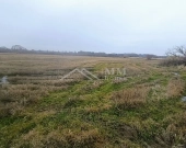 Działka rolna z potencjałem inwestycyjnym 3,21 ha | Zdjęcie 3