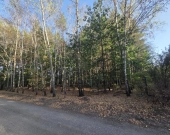 wz na 5 domów, prywatny las, lokalizacja | Zdjęcie 3