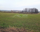 Dom wolnostojący do remontu - Warmia | Zdjęcie 4