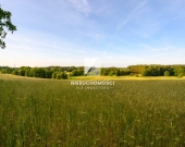 Kameralne działki budowlane w Kłodawie, 17-25 ar | Zdjęcie 5