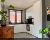 5pok, 153met, okolice Kątów Wrocławskich OGRÓD/2016 (Zachowice) | Zdjęcie 6