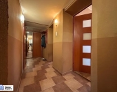 2pok, 64met, okolice Bema BALKON/PIWNICA (Wrocław) | Zdjęcie 3