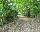 Działki rolne na sprzedaż w obrębie Gałowa | Zdjęcie 8