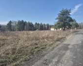 została tylko jedna, wz, prąd, lasy i droga gminna | Zdjęcie 1