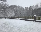 Wiązowna Kościelna z lasem, wz, mediami, | Zdjęcie 1