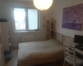 4pok, 79met, Okolice Laurowej BALKON / PIWNICA / WINDA / 2021 (Wrocław) | Zdjęcie 10