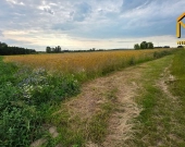 Działka z wydanymi warunkami zabudowy w gminie Lis | Zdjęcie 6