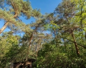 Dom w cenie działki w Józefowie | Zdjęcie 8