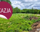 DZIAŁKA INWESTYCYJNA 4500 m²-SOSNÓWKA k. KAPRACZA | Zdjęcie 3