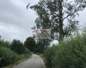 ŚWIĘKITY - SIEDLISKO Z POTENCJAŁEM, DOM 120 M2, DZ | Zdjęcie 7