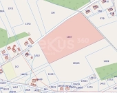 Przestrzeń i spokój - 3 hektary oazy dla Ciebie | Zdjęcie 1