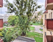 1pok, 35met, Okolice Nowowiejskiej BALKON/KOMÓRKA/WINDA (Wrocław) | Zdjęcie 6