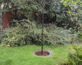 1pok, 26met, okolice Wawrzyniaka TARAS/OGRÓD (Wrocław) | Zdjęcie 12