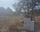 została tylko jedna, wz, prąd, lasy i droga gminna | Zdjęcie 8