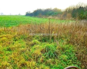 Działki budowlane w Święte. | Zdjęcie 4