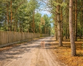 Atrakcyjna działka budowlana 3600 m² - Groszowice | Zdjęcie 1