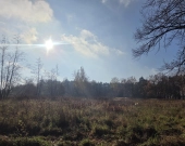 pod produkcję, magazyny lub usługi | Zdjęcie 8